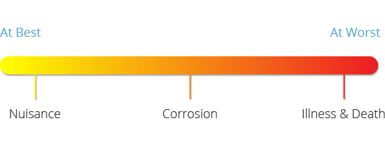 The problem with H2S